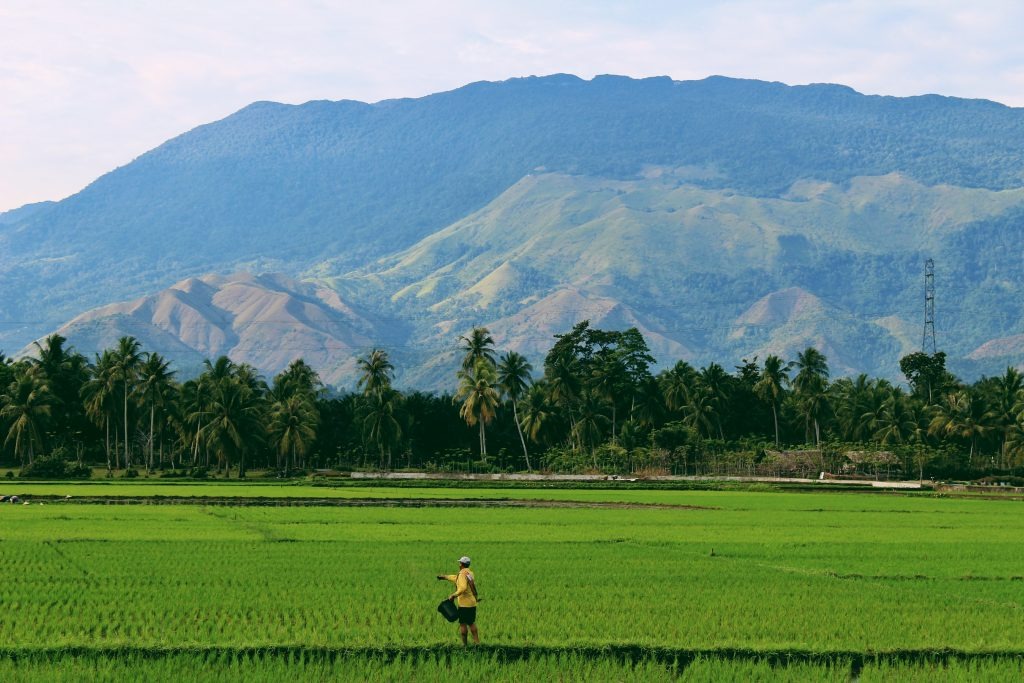 Regenerative Agriculture The Solution To Tackling Long Term Food Inflation