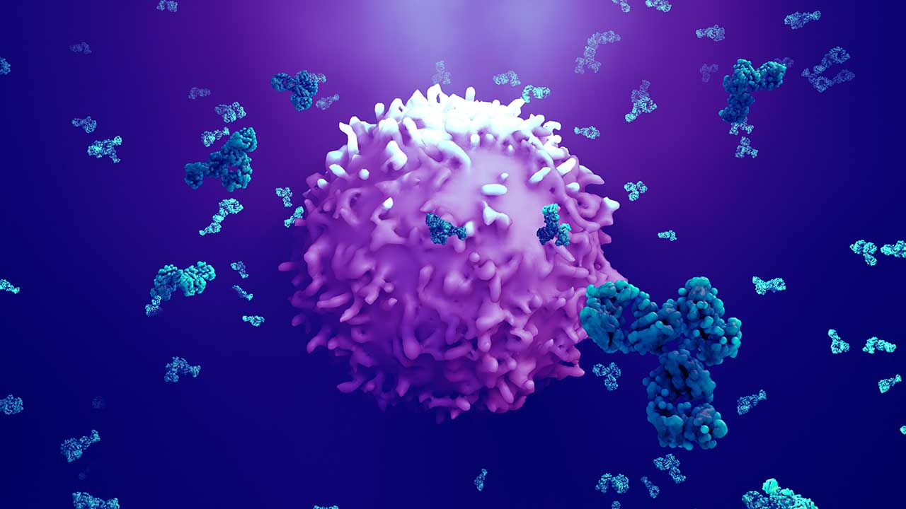 Antibodies,attack,a,cancer,cell,or,virus,3d,illustration