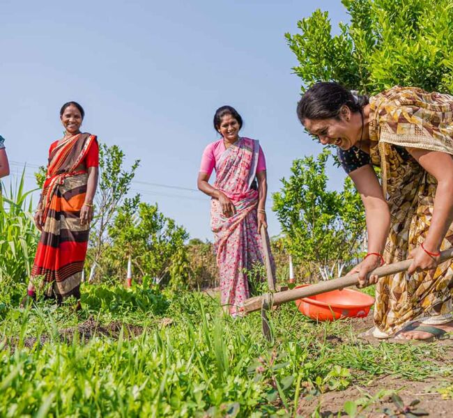 Overcoming Barriers To Entry For Women In Agriculture