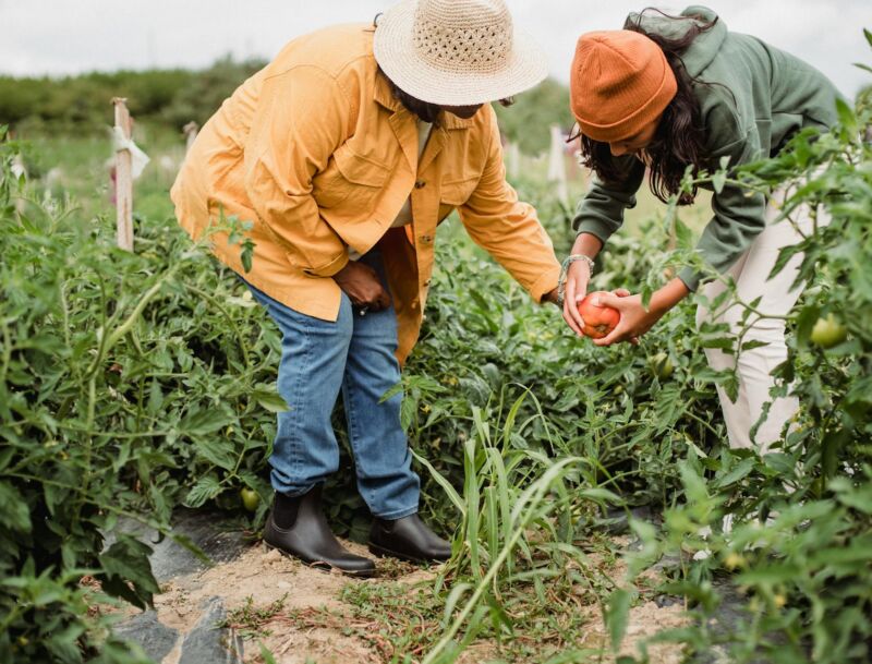 Agribusiness