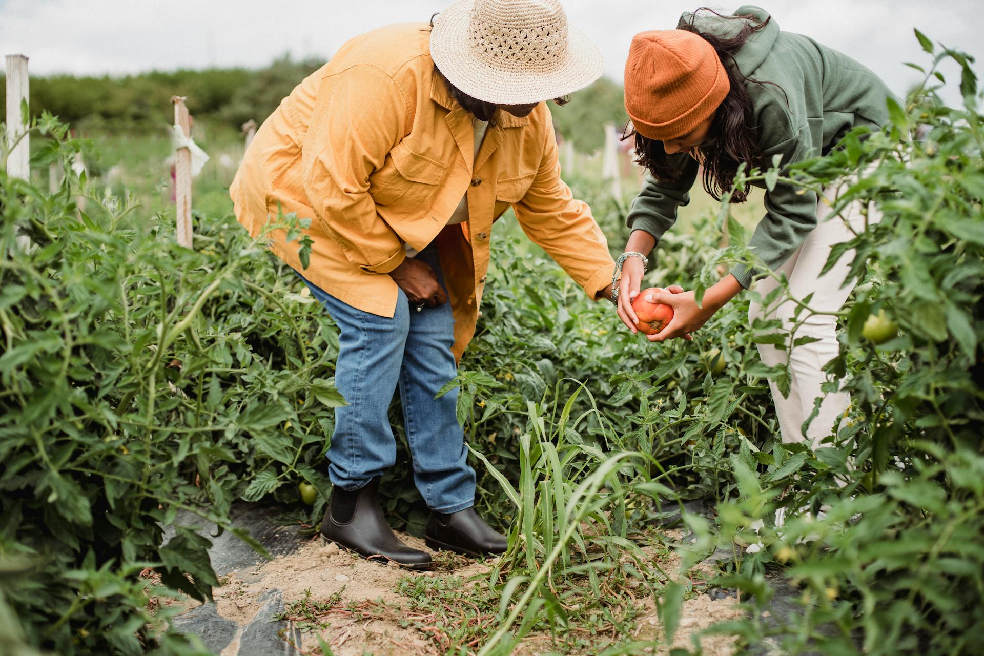 Agribusiness