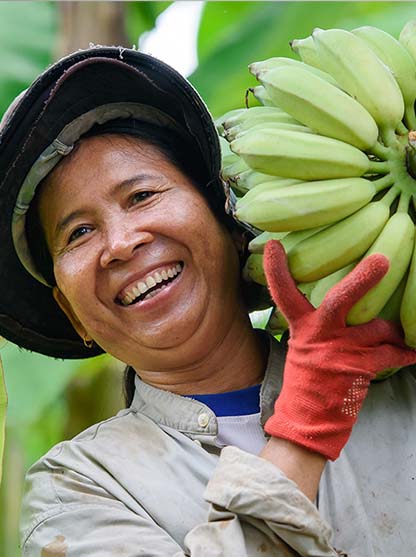 Agribusiness Spurwing Com Sectors